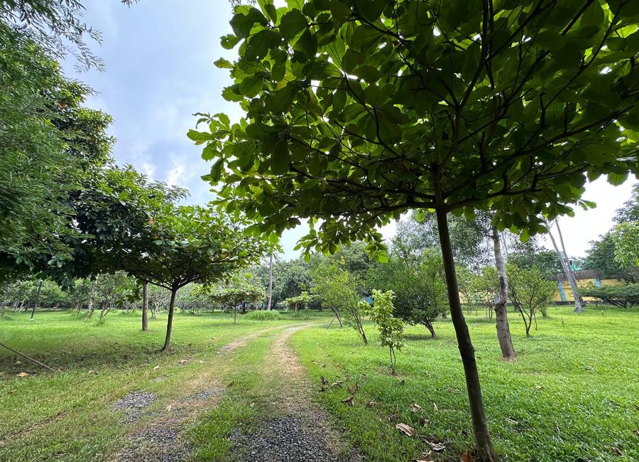 place photo 22