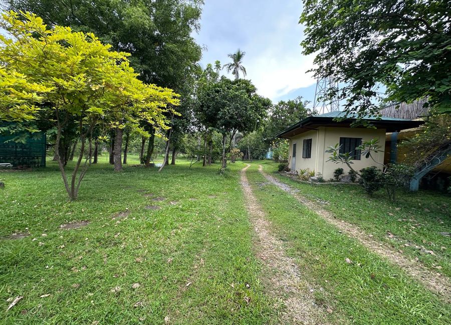 place photo 21