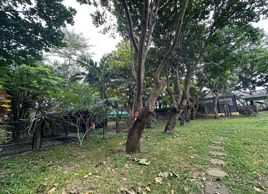 place photo 28