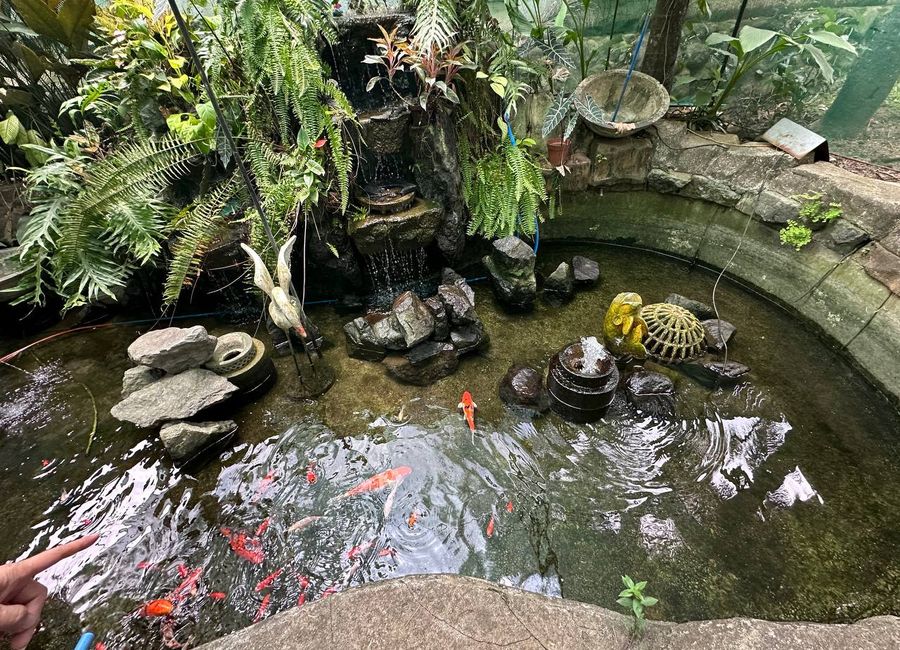 place photo 15