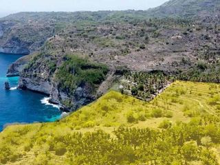 jual tanah pantai atuh pelilit Nusa penida samping tropikal glamping