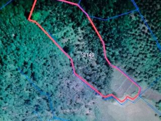 Farm Lot for Sale  in Mauban Quezon