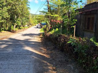 Mini Farm and Residential Lot for Sale
