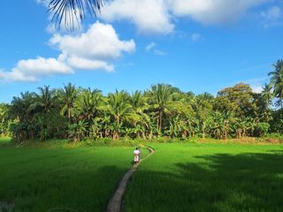 Farm Lot for Sale  in Mauban Quezon