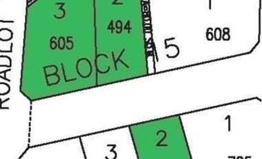 494 sqm Vacant Residential Lot for Sale in Manila Southwoods Phase 5 Carmona Cavite