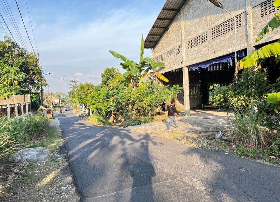 place photo 3