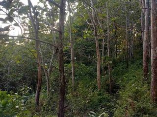 Dijual BUC tanah - Nusa Penida Desa Klumpu, Nusa Penida 