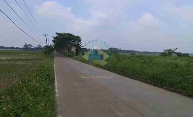 Di jual Tanah Industri di Jln Raya Tunjung Teja Bojong Pandan Serang Banten