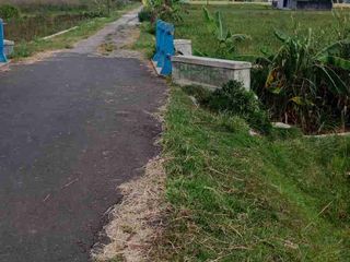 Sawah murah 1.300m ² dua akses jalan, jalan utama DPU, kenokorejo polokarto sukoharjo :