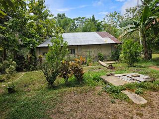 Peaceful farm property with residential house, farm house and coconut trees in Talibon Bohol