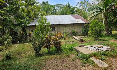 Peaceful farm property with residential house, farm house and coconut trees in Talibon Bohol