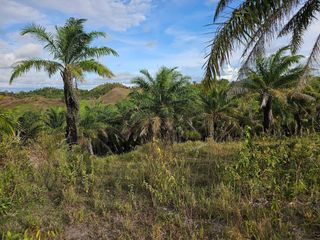 13 hectares/130,000 sqm titled property for sale in Rizal, Talibon Bohol Philippines 100 /Sqm