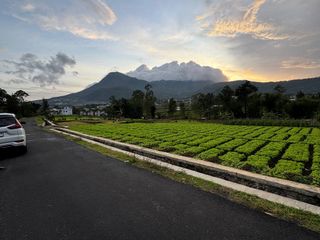 TANAH 1.200 M² PINGGIR JALAN 17 METER — PUTHUK TRITIH METRO, SPOT NGOPI VIRAL KOTA BATU!