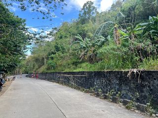 7.7 Ha Tourism Land Near Daranak Falls | Resort Development | ₱650/sqm