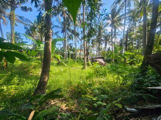 Dijual Tanah Strategis Dekat Ciputra Beach Resort Tabanan
