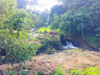 jual tanah murah lok kerambitan kota.lt 4300m2/43 are..hrga 85 jt/ are/100m2