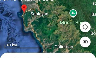 FIRE SALE: OCCIDENTAL MINDORO FARM LOTS