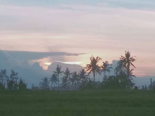 Dijual Tanah Desa Seminyak Bali Lokasi Premium Strategis Dekat Pantai