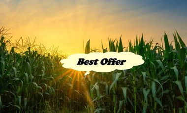 RUSH! FARM LOT for Sale in Cavite Philippines