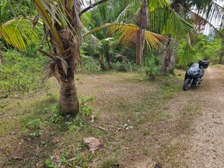 10,000 sqm lot for sale along shoreline in Talibon Bohol Philippines