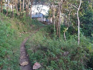 DIJUAL BU, SEBIDANG TANAH DI DESA KLUMPU, NUSA PENIDA BALI