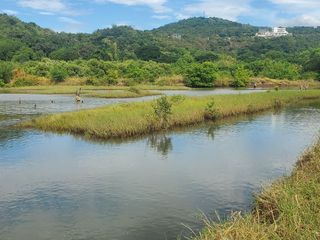 FISHPOND FOR SALE in Batangas Philippines