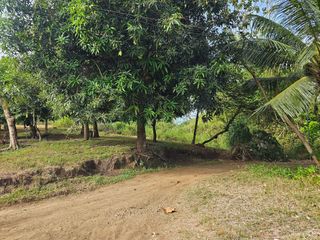 2,200 sqm Clean Title Overlooking Lot for Sale – Bagacay, Talibon, Bohol Price: ₱1,000 per sqm (Net)