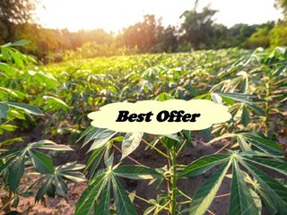 FARM LOT FOR SALE in Batangas Philippines