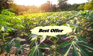 FARM LOT FOR SALE in Batangas Philippines