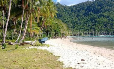 The Next Big Thing in Palawan is Here! Port Barton White Beach for Sale!