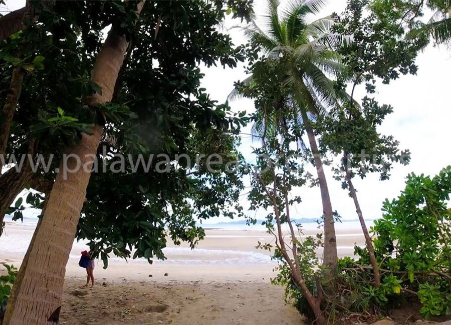 place photo 24