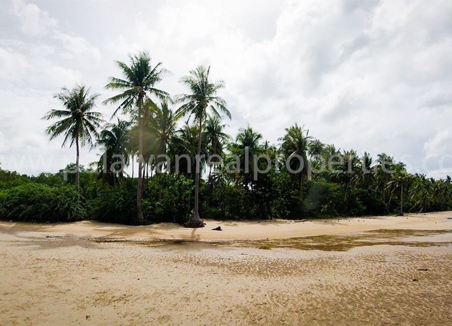 place photo 28