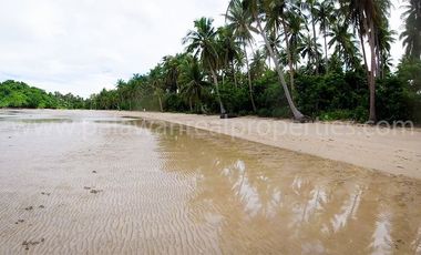 “Coastal Dynamics: Analyzing the synergy between tropical flora and tidal zones.”
