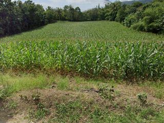 RUSH! FARM LOT FOR SALE in Batangas Philippines