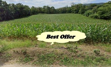 RUSH! FARM LOT FOR SALE in Batangas Philippines