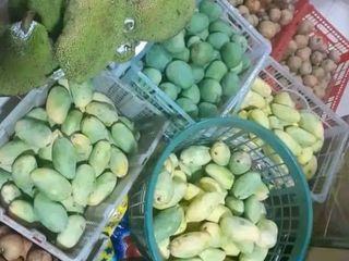 RUSH! FARM HOUSE W/FRUIT BEARING TREES for Sale in Batangas Philippines