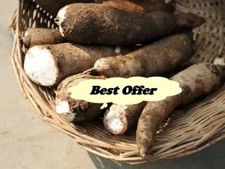 FARM LOT FOR SALE in Laguna Philippines