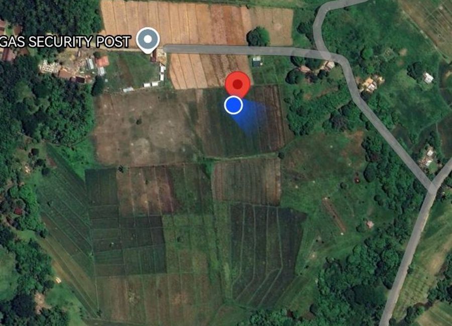 place photo 13