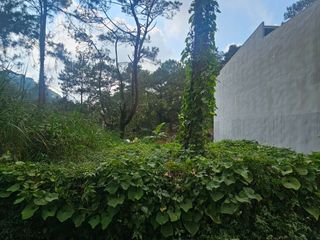 250 sqm Residential Lot for Sale Near PNB Ville Village, Baguio City