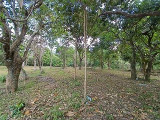 Residential Farm Lot for Sale in Alfonso Cavite Near Pajo Barangay Hall