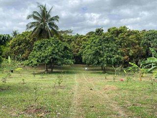 FOR SALE Prime Farm Lot Near Tagaytay | 10,000 SQM Alfonso Cavite