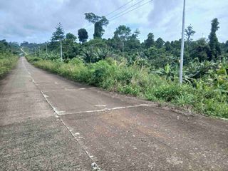 Jual Tanah 36 Hektar di Kab.Sorong  Jln.Bandara