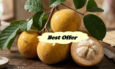 FARM HOUSE  W/FRUIT BEARING TREES for Sale in Laguna Philippines