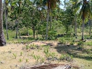 🌿 3,429sqm AGRICULTURAL LOT FOR SALE – Libertad, Kaputian, Samal Island