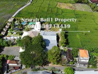 Land For Rent 21,60 Are View Sawah Kawasan Villa di Ubud