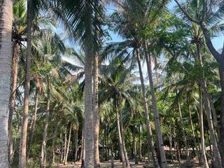 Beachfront Lot for Sale in Naic Cavite 4700+ sqm can be Resort Seamans training warehouse | Beach Lot for sale