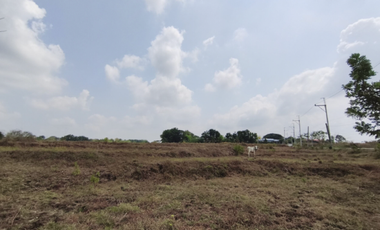 Investment Land Near F. Viola Highway in San Rafael Bulacan