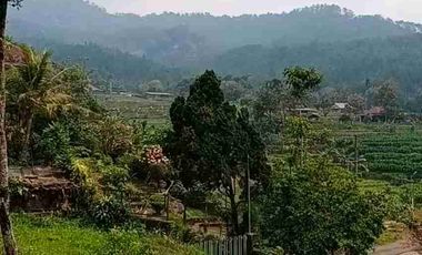 Tanah kebun