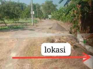 sisa 4 kavling dari 140kavling dijual dibawah pasaran 27jtan/kavling nett free suratnya  uk 5x12  5x12  5x12  4,5x15  4,5x15 free suratnya lokasi hadap utara dan selatan, lokasi tepatnya  di ds kedung ploso perbatasan cerme balong panggang 25 menit dari surabaya barat atau gresik kota.lngsung pemilik tnpa perantara.ayo buruan di surve sisa 5 kavling saja. pasaran 40jt 45jt perkavling.