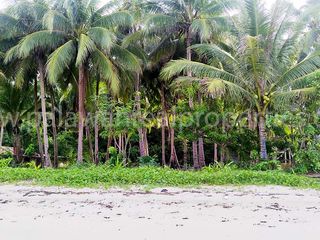 Titled beachfront: 1.3 Hectares of El Nido Coast